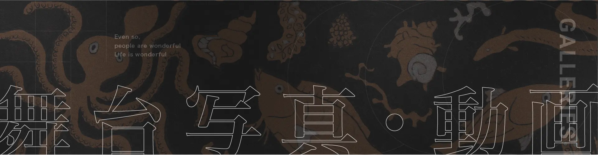 舞台写真・動画