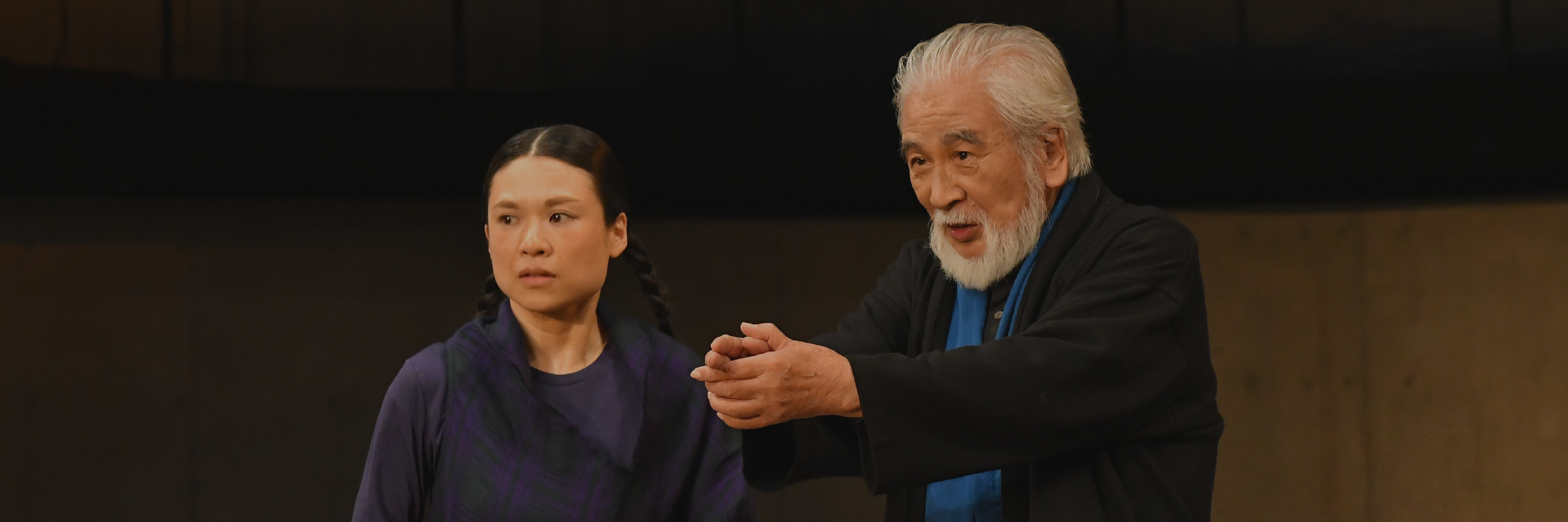 2019年11月公演『野がも Vildanden』